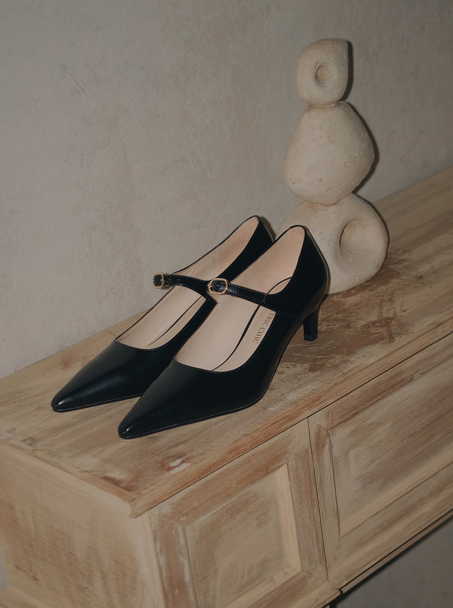 Black pointed-toe Mary Jane heel with metal buckle displayed sideway placed on a wooden surface