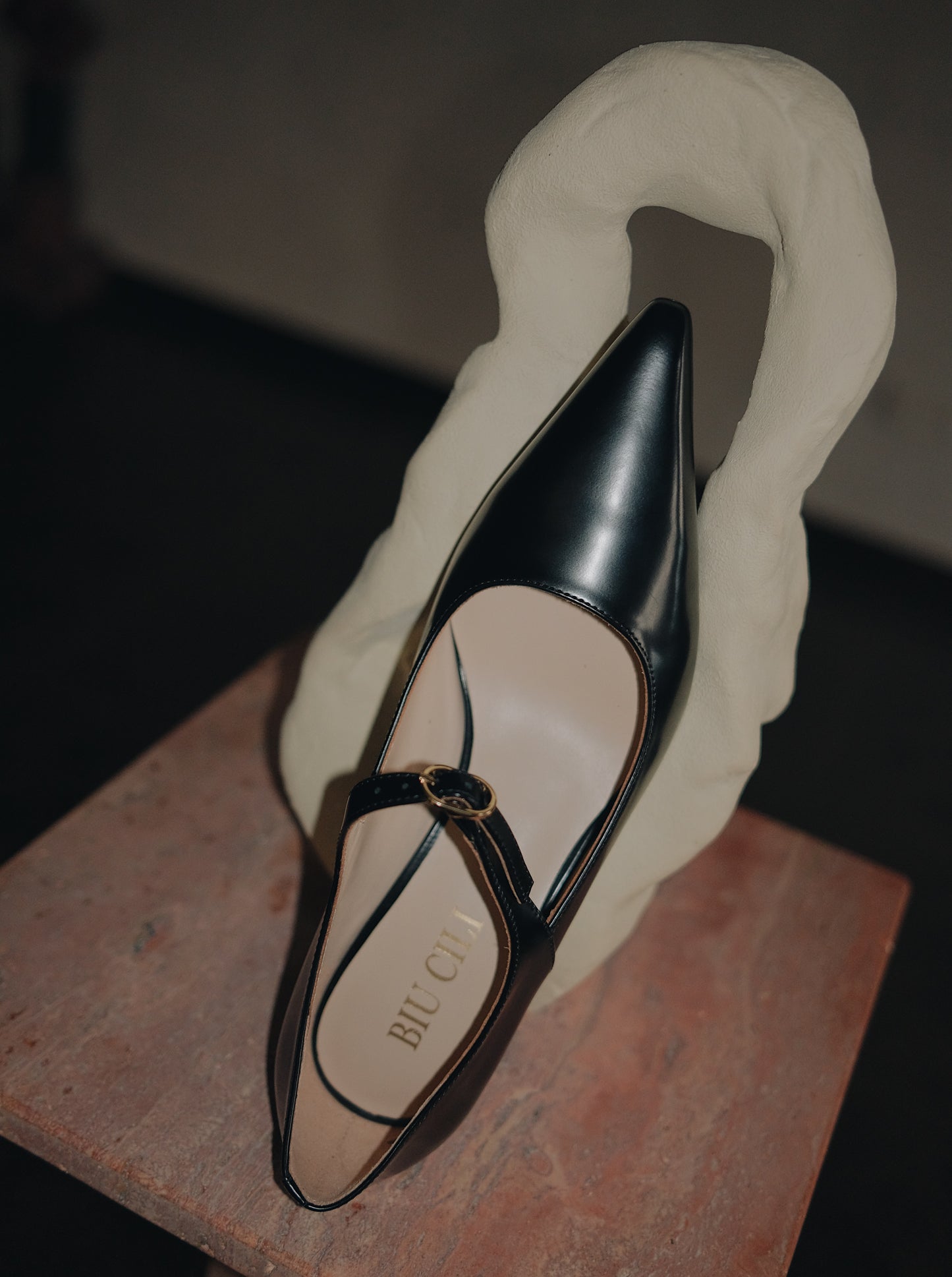Black pointed-toe Mary Jane heel with metal buckle displayed upright against an abstract white sculpture on a stone pedestal