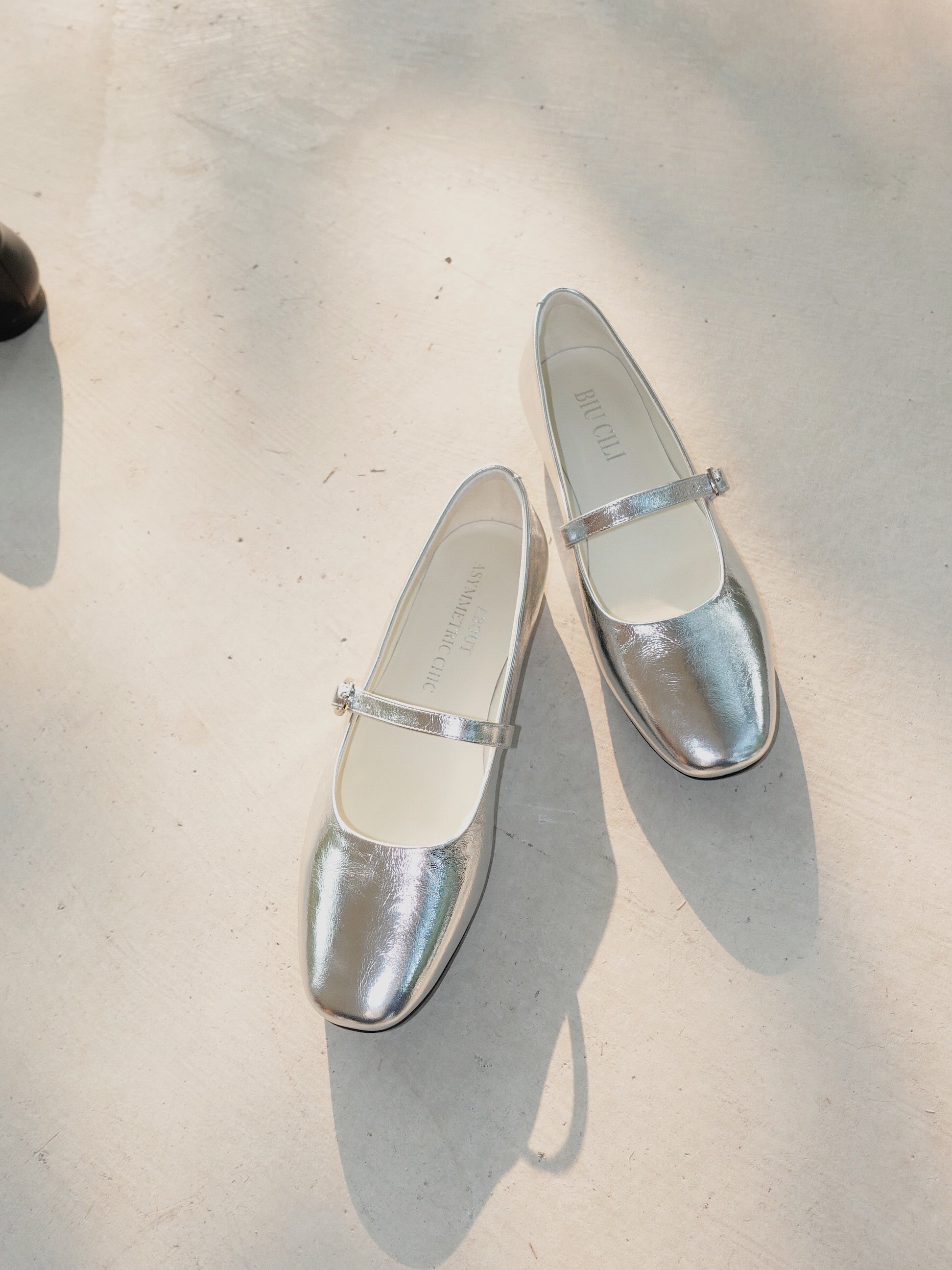 Hepburn Mary Jane Flats in Silver or Black Leather – Objectionalism