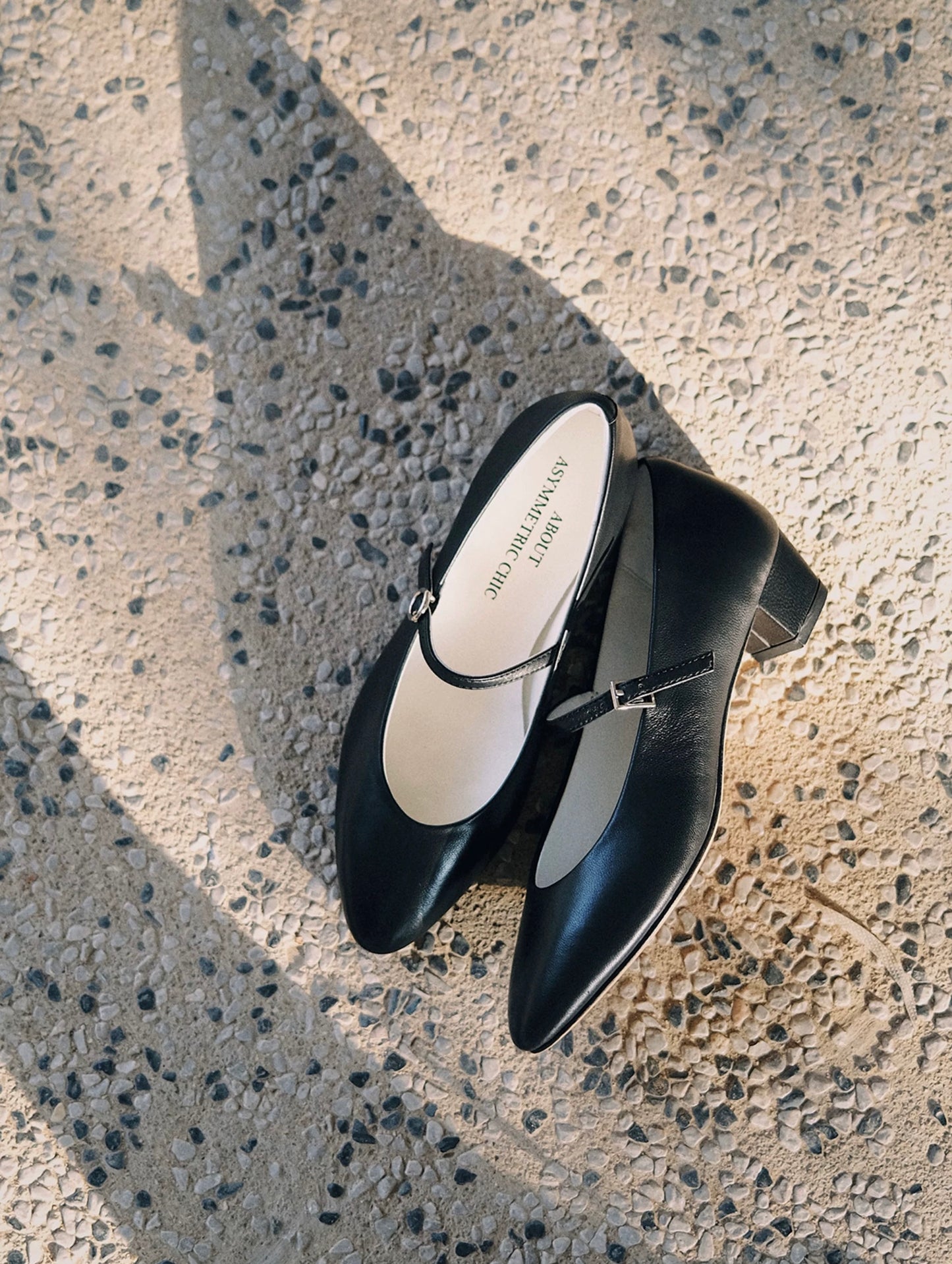 Minimalist Leather Mary Jane Block Heels with Asymmetric Buckle